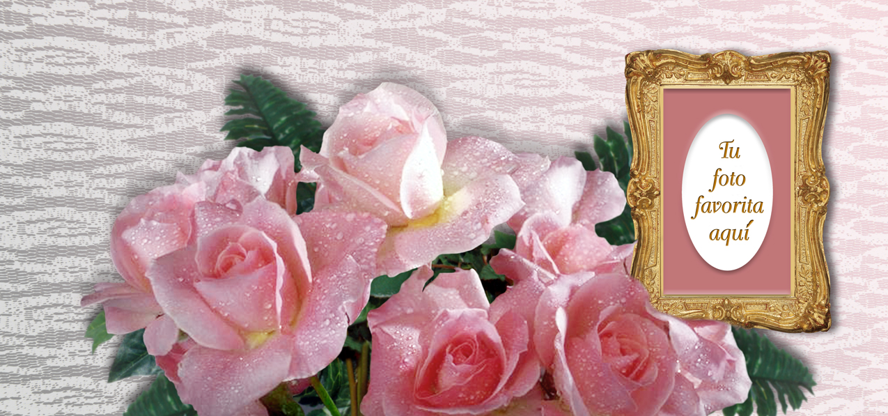 Bouquet Of Roses Pink (Spanish)